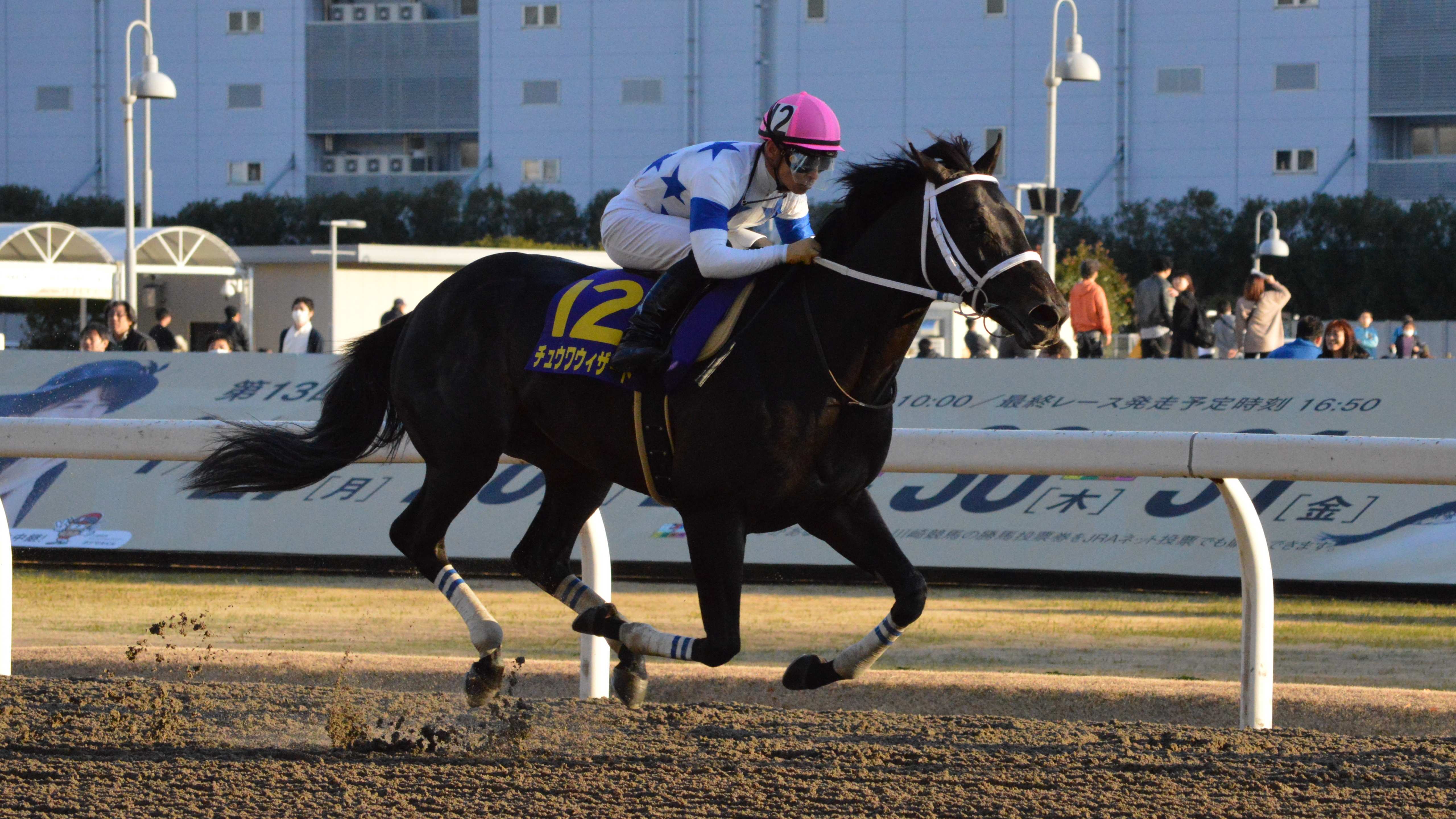 🏇 가와사키 경마장 (카와사키 케이바조) 이미지 9